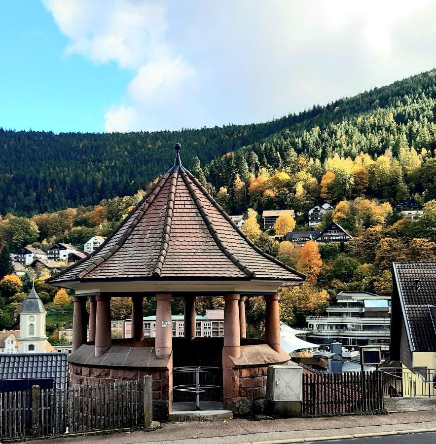 Fewo Sehl Leilighet Bad Wildbad Eksteriør bilde