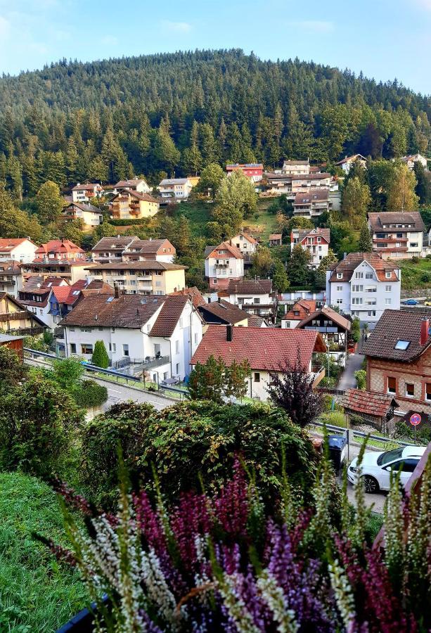 Fewo Sehl Leilighet Bad Wildbad Eksteriør bilde
