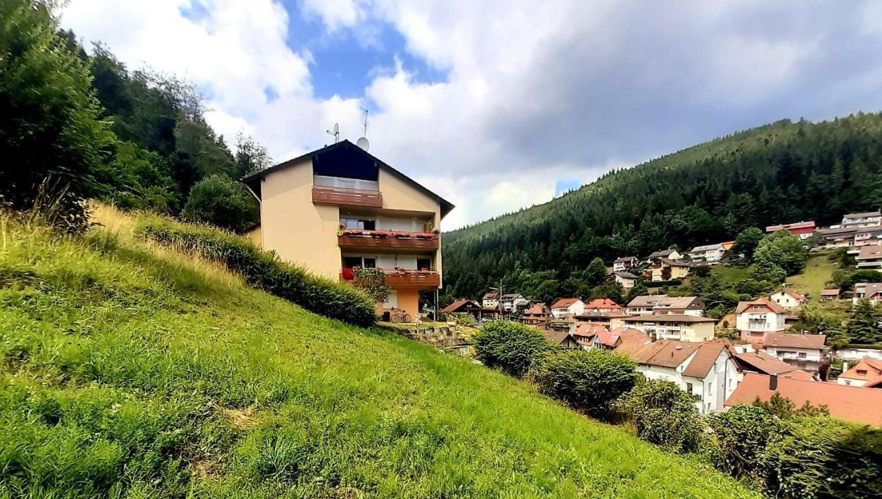 Fewo Sehl Leilighet Bad Wildbad Eksteriør bilde